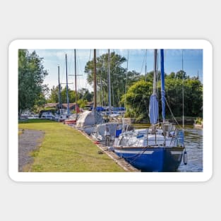 Sailing boats moored in Hickling, Norfolk Broads Sticker